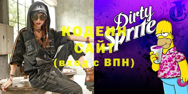 индика Володарск