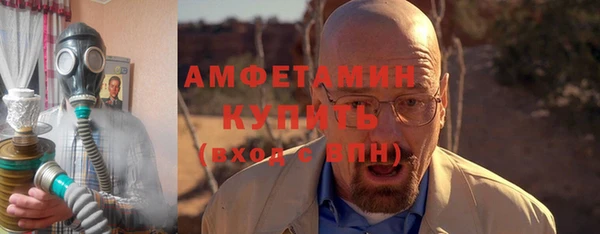 индика Володарск