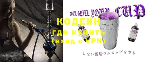 индика Володарск