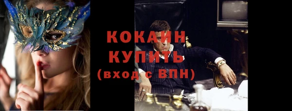 индика Володарск