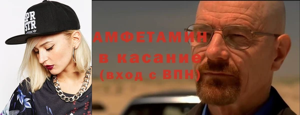 индика Володарск