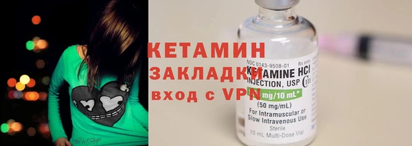индика Володарск