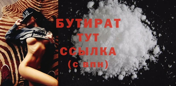 индика Володарск