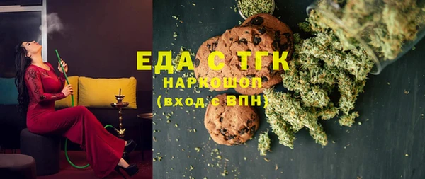 индика Володарск