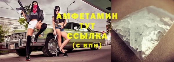 индика Володарск