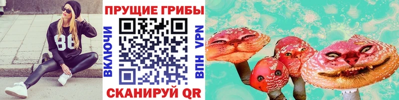 Псилоцибиновые грибы прущие грибы купить наркотики цена ОМГ ОМГ ссылки Сольвычегодск