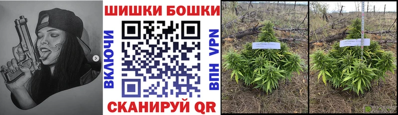 Канабис план  Сольвычегодск 